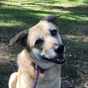 Meet your Posher, Therese